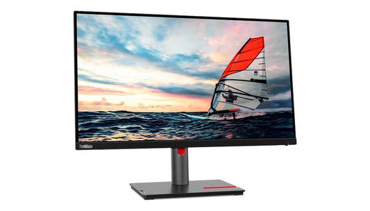 Lenovo ThinkVision P25i-30 24.5-inch Monitor With USB HUB